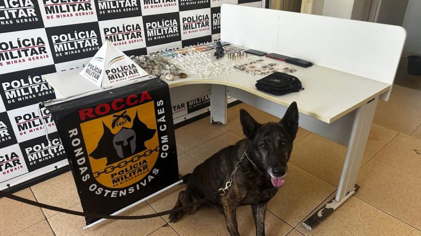 Cão da Polícia Militar sentado em frente a uma mesa com materiais apreendidos, incluindo drogas, celulares e uma máquina de cartão, em um ambiente de delegacia.