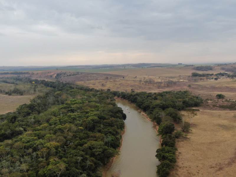 Vista aérea do Rio São Francisco, destacando vegetação ao redor e áreas de pastagem.