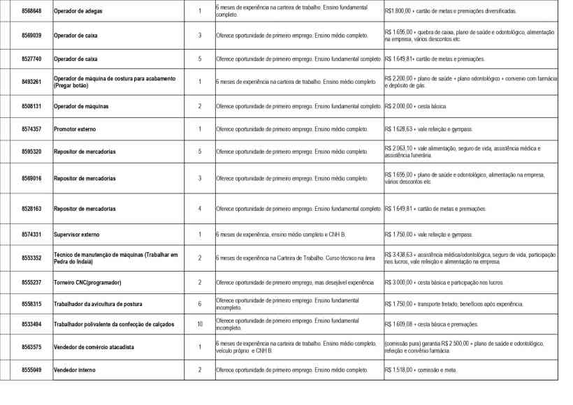 Tabela de vagas de emprego do Sine de Divinópolis, listando posições, níveis de escolaridade e requisitos.