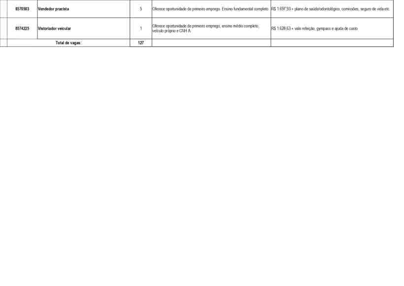 Tabela com lista de vagas de emprego disponíveis, incluindo cargos, quantidade de vagas, e requisitos, com um total de 127 vagas.