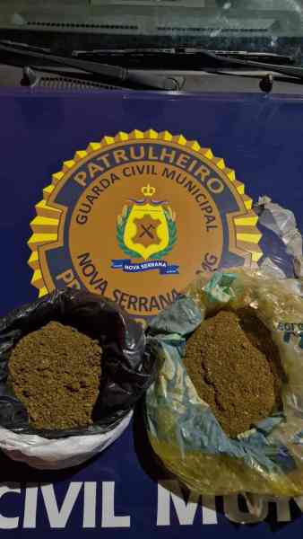 Duas porções de maconha em sacolas plásticas, posicionadas sobre a viatura da Guarda Civil Municipal de Nova Serrana, com o emblema da corporação ao fundo.