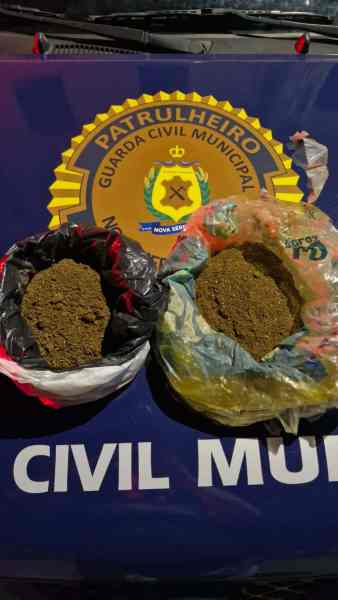 Duas porções de maconha em sacolas plásticas sobre uma mesa marcada com o emblema da Guarda Civil Municipal de Nova Serrana.