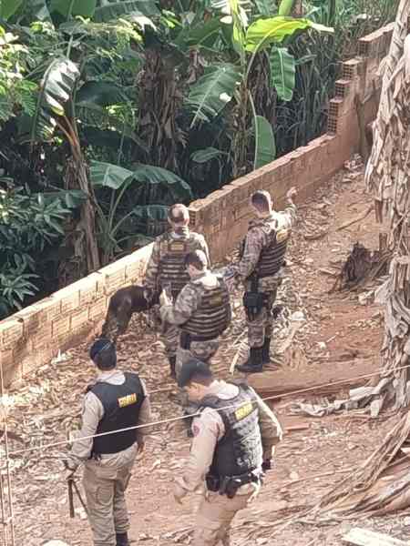 Policiais da Polícia Militar de Minas Gerais realizando uma operação com um cão em uma área de vegetação, com muros de tijolo ao fundo.