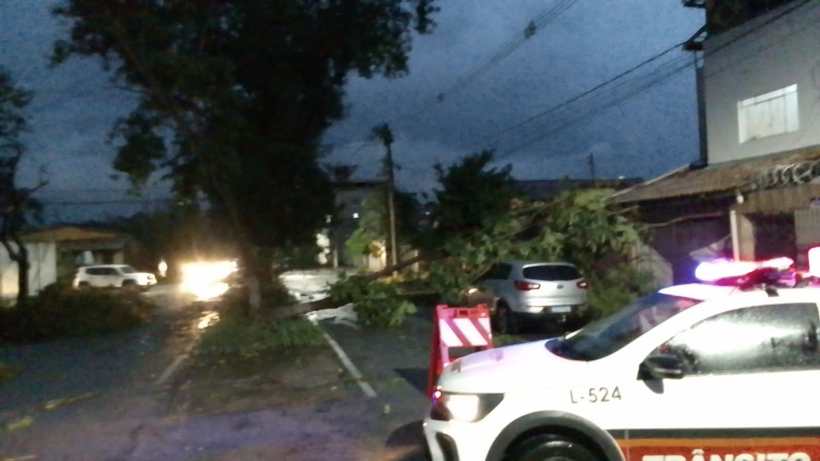 Imagem de uma rua durante a noite, com uma árvore caída bloqueando parte da via. Um veículo da polícia com sirene ligada está estacionado próximo ao local, enquanto outros carros estão visíveis ao fundo.