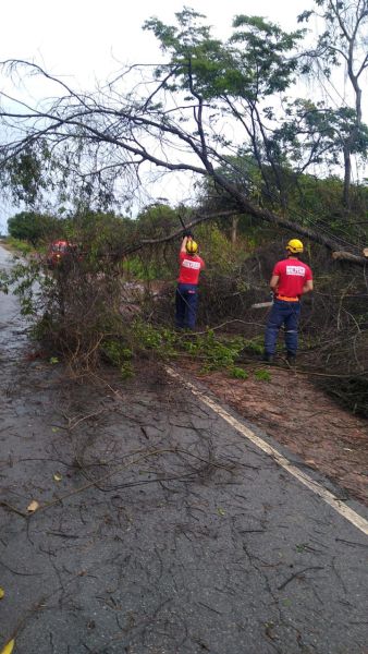 Equipes do Corpo de Bombeiros removendo galhos de árvore que caíram sobre a via após chuva, em um trecho de estrada rural.