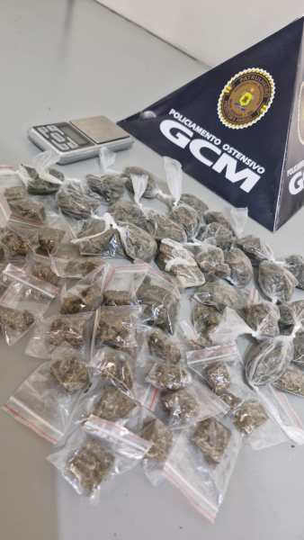Sacola plástica contendo 54 porções de maconha fracionadas e uma balança de precisão, com distintivo da Guarda Civil Municipal (GCM) ao fundo.