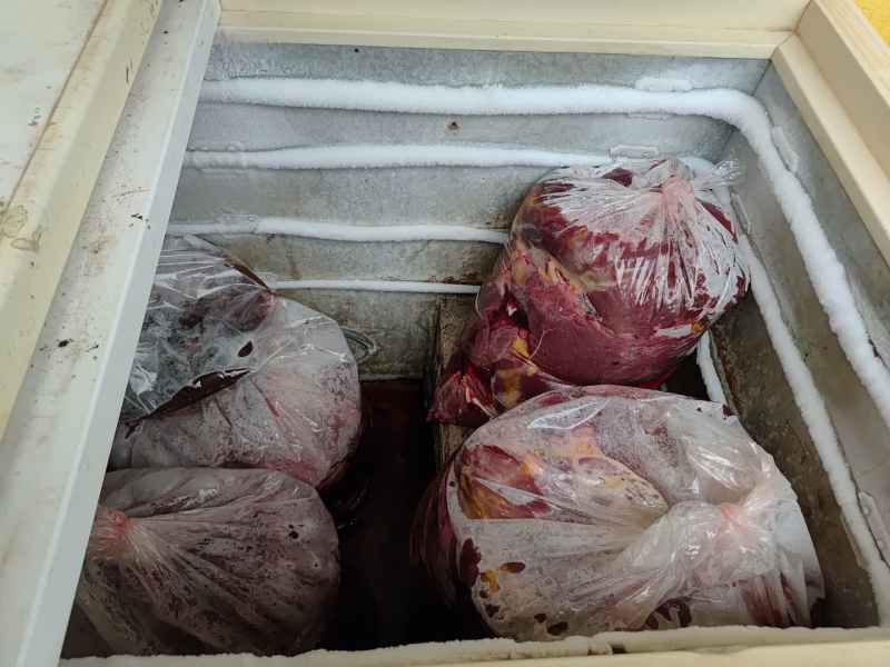 Um baú congelador com sacos plásticos cheios de carne, parcialmente cobertos de gelo.