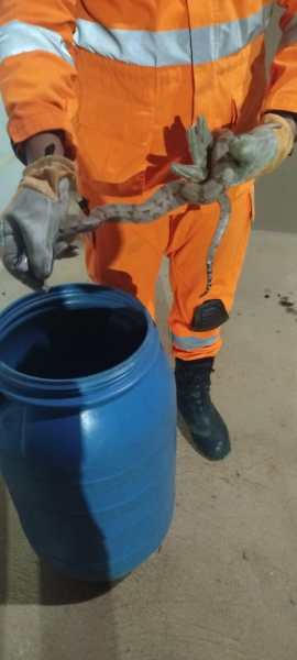 Homem vestindo uniforme laranja segurando um objeto não identificado com uma mão, enquanto a outra mão está próxima a um recipiente azul.