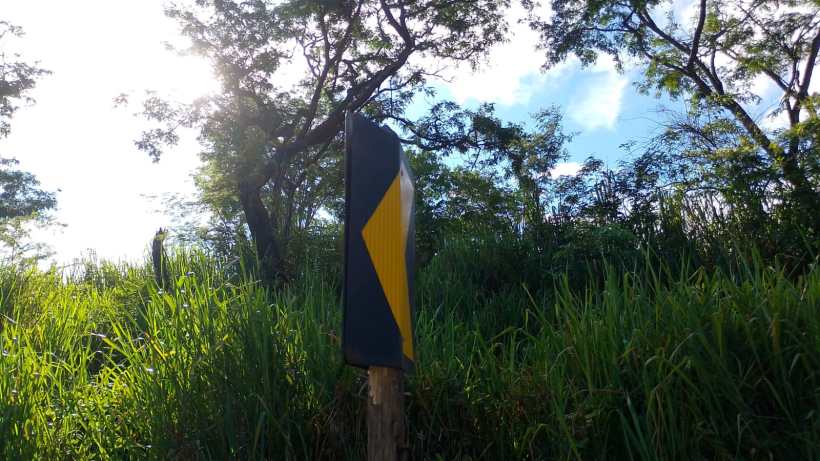 Placa de sinalização vertical com uma seta amarela em um fundo preto, cercada por vegetação e árvores.