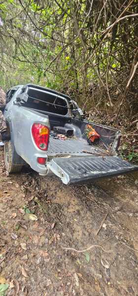 Caminhonete cinza encostada em uma área de vegetação densa, com a caçamba aberta e sujeira ao redor.