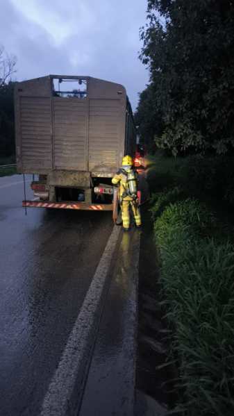  Bombeiro inspecionando caminhão parado na estrada durante a noite, com iluminação escassa e vegetação ao redor.