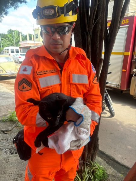 Um bombeiro vestido com um uniforme laranja segura um gato preto embrulhado em uma toalha, em um cenário urbano com árvores ao fundo.