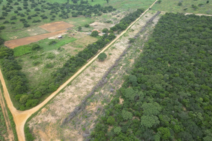 Vista aéreo de uma área rural mostrando campos cultivados e uma parte de floresta densa.