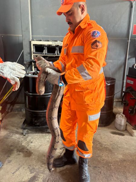 Um homem em uniforme laranja de resgate segura uma cobra grande enquanto outro homem com luvas auxilia, em um ambiente industrial.