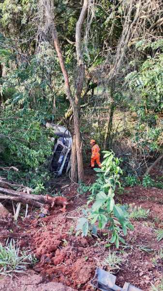 Um trabalhador em um traje laranja próximo a uma árvore, com um veículo acidentado parcialmente escondido entre a vegetação.