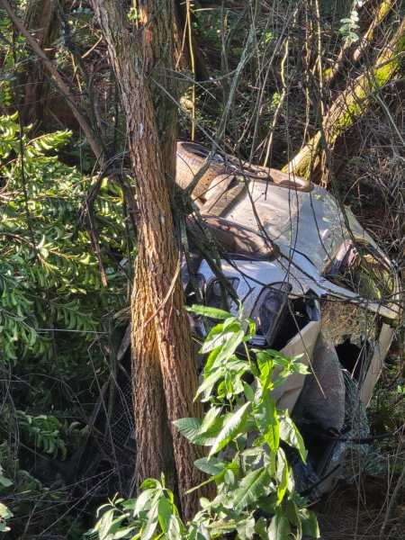 Carro acidentado dentro de uma vegetação densa, parcialmente escondido entre árvores e arbustos.