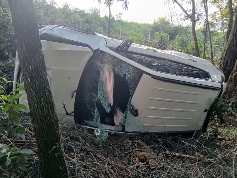 Carro virado em uma área de vegetação com vidro quebrado e árvore próxima.