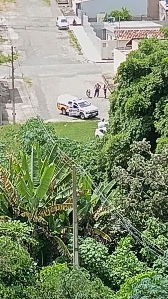 Vista de uma rua com um veículo da polícia estacionado, onde duas pessoas estão interagindo em um espaço arborizado com plantas e árvores.