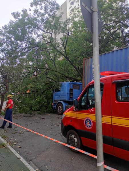 Bombeiros e um caminhão em uma rua bloqueada por uma árvore caída, com um contêiner ao fundo.