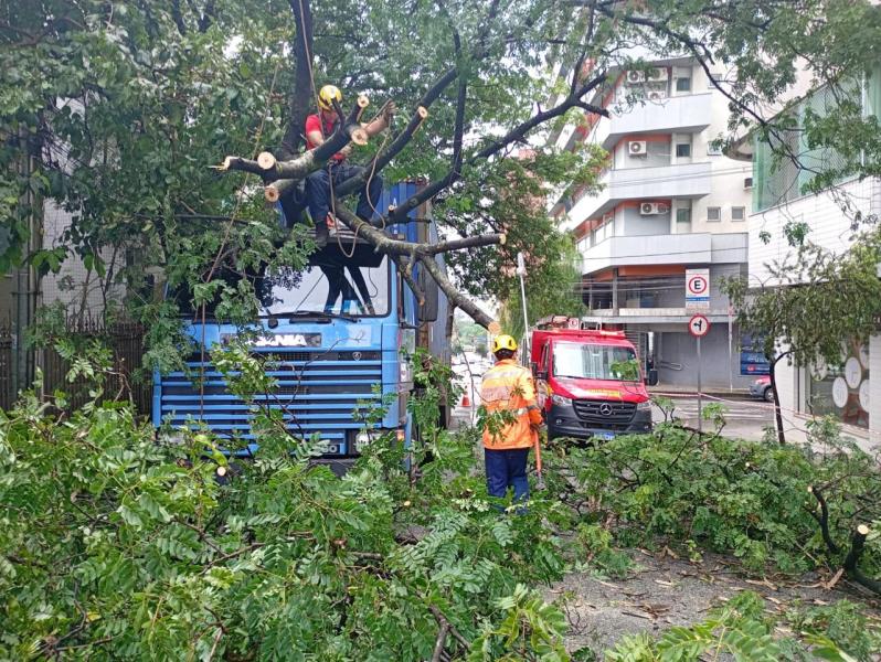 Trabalhadores em um caminhão azul realizando a poda de árvores, com galhos e folhas no chão e um caminhão de bombeiros ao fundo.