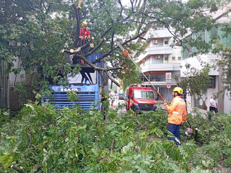 Equipe de poda de árvores realizando trabalho de limpeza em uma rua urbana, com um trabalhador em um caminhão e outro no chão, cercados por galhos e folhas.