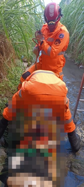 Bombeiros em trajes laranjas resgatando alguém em um córrego, cercados por vegetação.