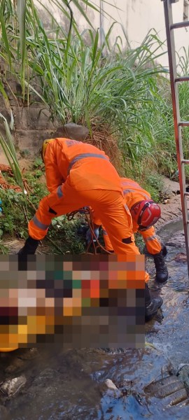 Bombeiros em trajes de resgate atuando em um córrego, com vegetação ao fundo.