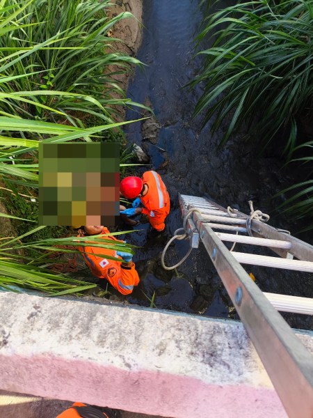 Equipe de resgate ajudando uma pessoa em um canal, com escada ao fundo e vegetação ao redor.