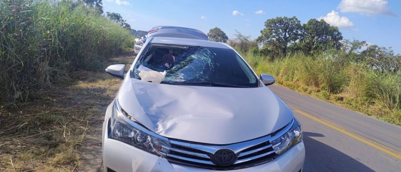 Carro prateado envolvido em acidente com o capô amassado e o para-brisa quebrado. Vegetação alta ao redor e estrada visível ao fundo.