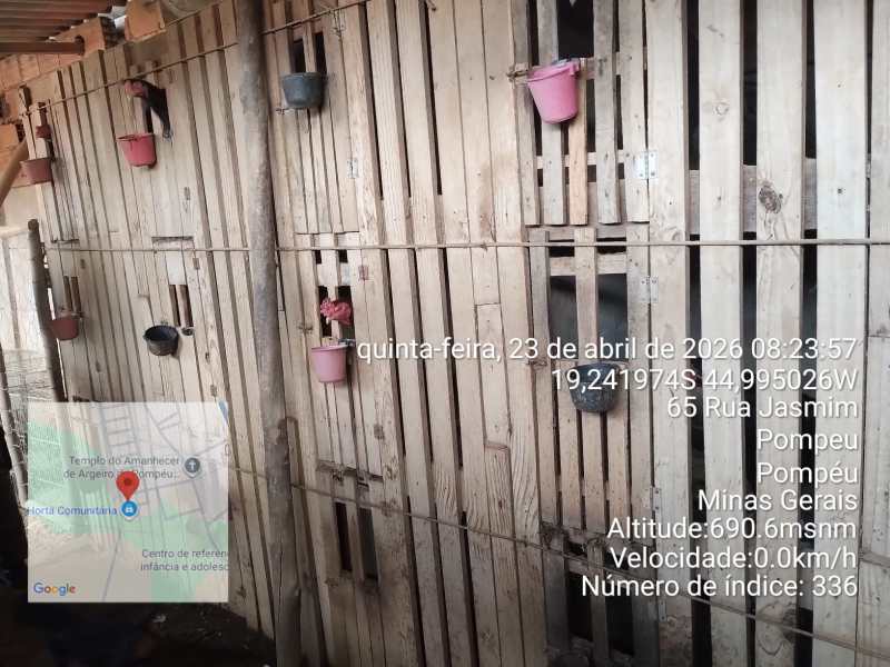imagem de uma parede de madeira com buracos e vasos suspensos, localizada em Pompué, Minas Gerais