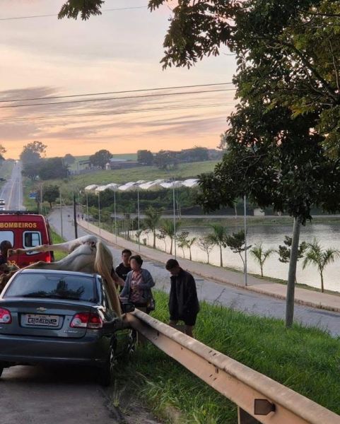 Um grupo de pessoas se reúne ao redor de um carro acidentado na beira da estrada, com um caminhão de bombeiros ao fundo e um lago à esquerda. O céu está claro e apresenta tonalidades de rosa e laranja ao amanhecer.