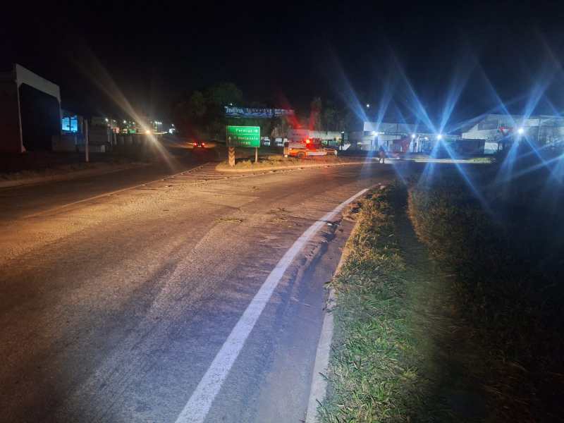 Estrada iluminada à noite com sinais de tráfego, veículos e vegetação ao lado.