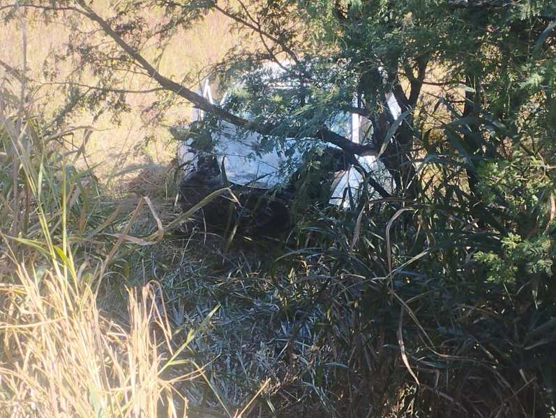 Um carro branco parcialmente escondido por arbustos e grama alta em uma área silvestre.