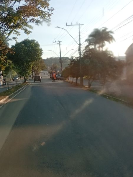 Rua residencial com árvores à margem, vista de um carro na pista e iluminada pelo sol da manhã.