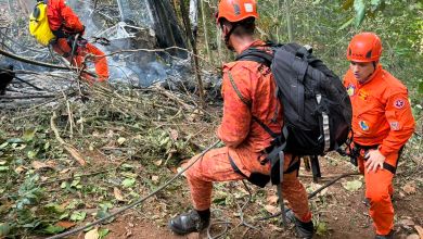 Vista da Floresta da Tijuca após a queda de helicóptero que matou 3 colombianas no Rio
