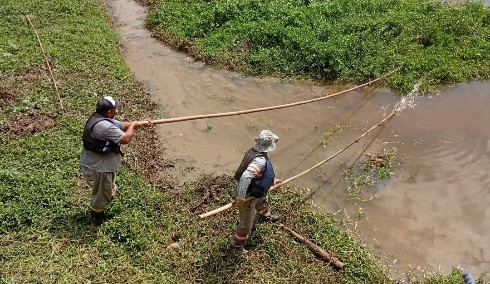 Dois homens pescando em um ambiente natural, usando varas longas ao lado de um corpo d'água cercado por vegetação.