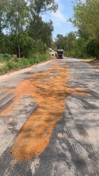 Trecho de estrada com poeira laranja espalhada, cercado por vegetação