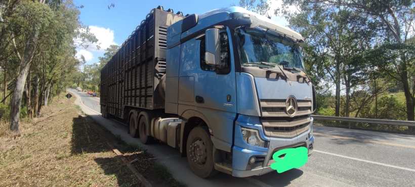 Caminhão azul estacionado às margens de uma estrada cercada por árvores.