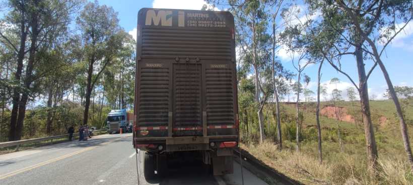 Caminhão estacionado em uma estrada cercada por árvores.
