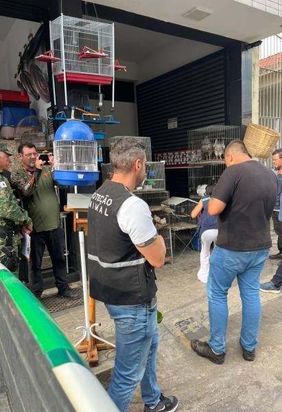 Agentes de proteção animal em ação, observando gaiolas e cuidando de animais em um local de comércio.