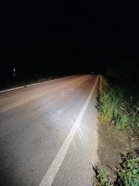 Estrada à noite com iluminação fraca e vegetação ao lado.