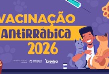 Campanha de vacinação antirrábica em Divinópolis para cães e gatos entre 12 e 26 de setembro