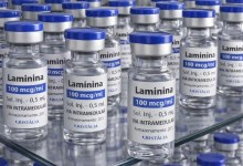 Frasco de polilaminina usado em testes clínicos de fase 1 em São Paulo