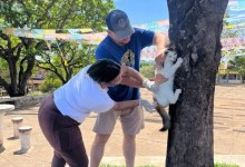 Vacinação antirrábica em Divinópolis atende cães e gatos na última etapa da campanha