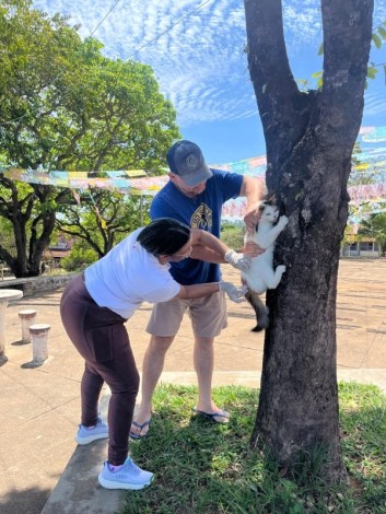 Vacinação antirrábica em Divinópolis atende cães e gatos na última etapa da campanha
