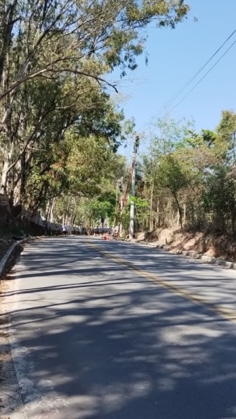 Um trecho de estrada cercado por árvores com um céu claro ao fundo.
