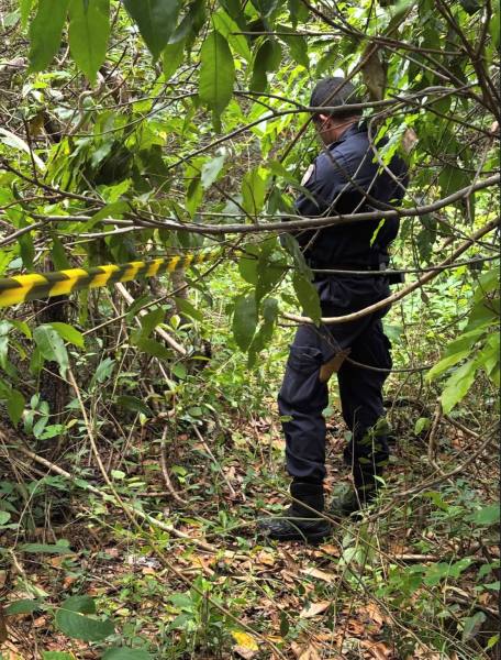 Um policial em um ambiente florestal, cercado por vegetação densa e uma fita amarela de cautela visível no chão.