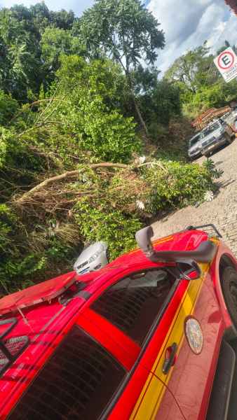 Veículo dos bombeiros em primeiro plano com galhos caídos ao fundo, bloqueando a estrada.