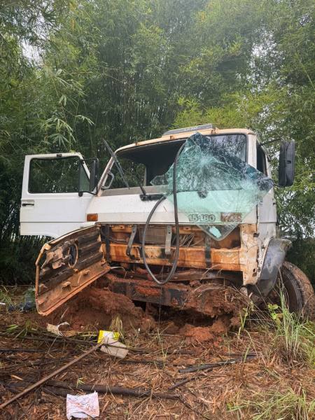 Caminhão velho e danificado parado em área com vegetação, com a porta aberta e o vidro quebrado.