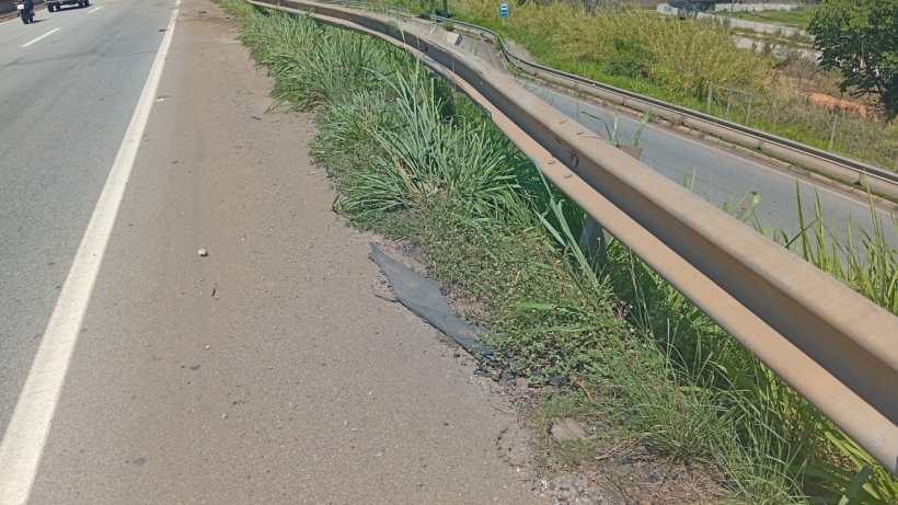 Vista de um acostamento com grama alta e um guard-rail de metal ao lado da estrada, próximo a veículos em movimento.